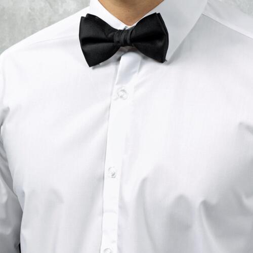 Bow tie Thumbnail