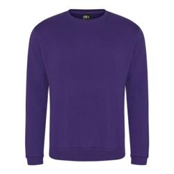 RX301_LS20_2024.jpg RX301_LS20_2024.jpg Thumbnail