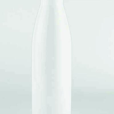 Water Bottle Stainless Steel 500ml Thumbnail